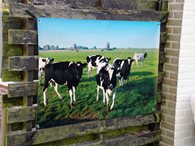 pgimg_20160627105041