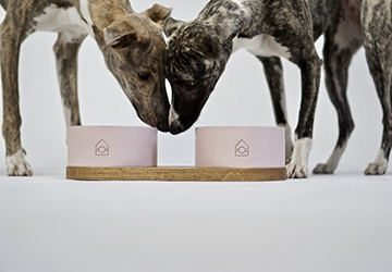 afbeelding-2-webshop-giftcard_20181119093009