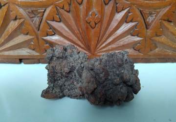 coproliet-360x250px_20190424110556