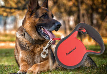 hondenriem_20210416113319