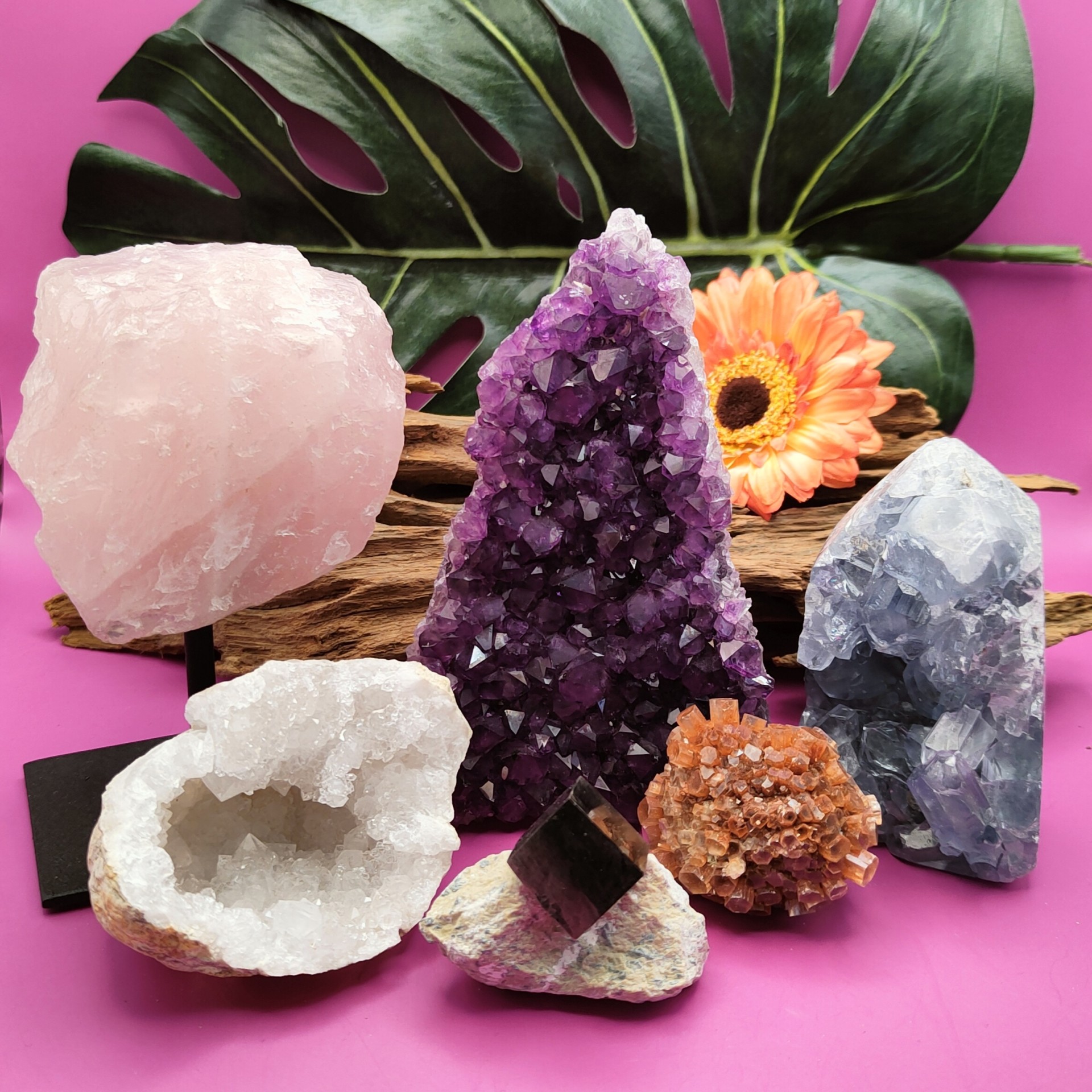 Mijndroomwinkeltje-showcase-ruw_20250416083406014